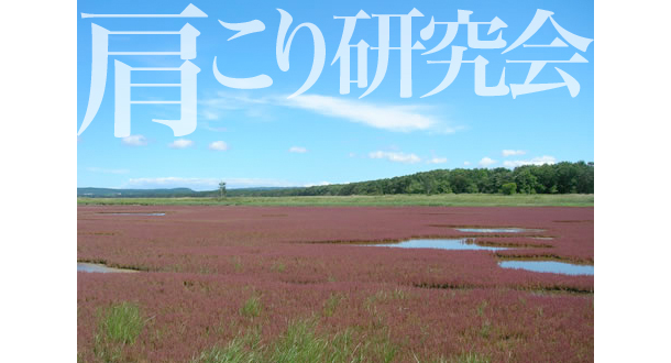 茤